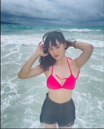 Jia Xin