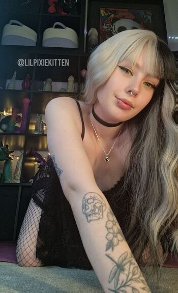 lilpixiekitten