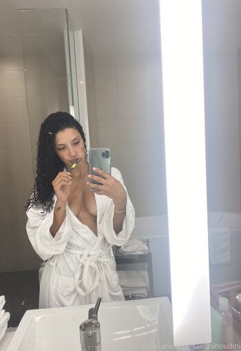 santinihoudini